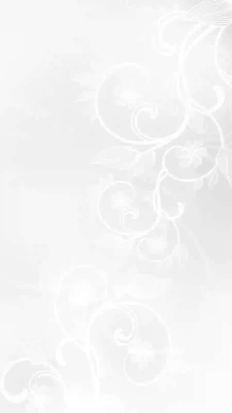 Abstrakt orqa fonda oq gulli dekor bilan oq orqa fonda | Abstract background with white floral ornament white background
