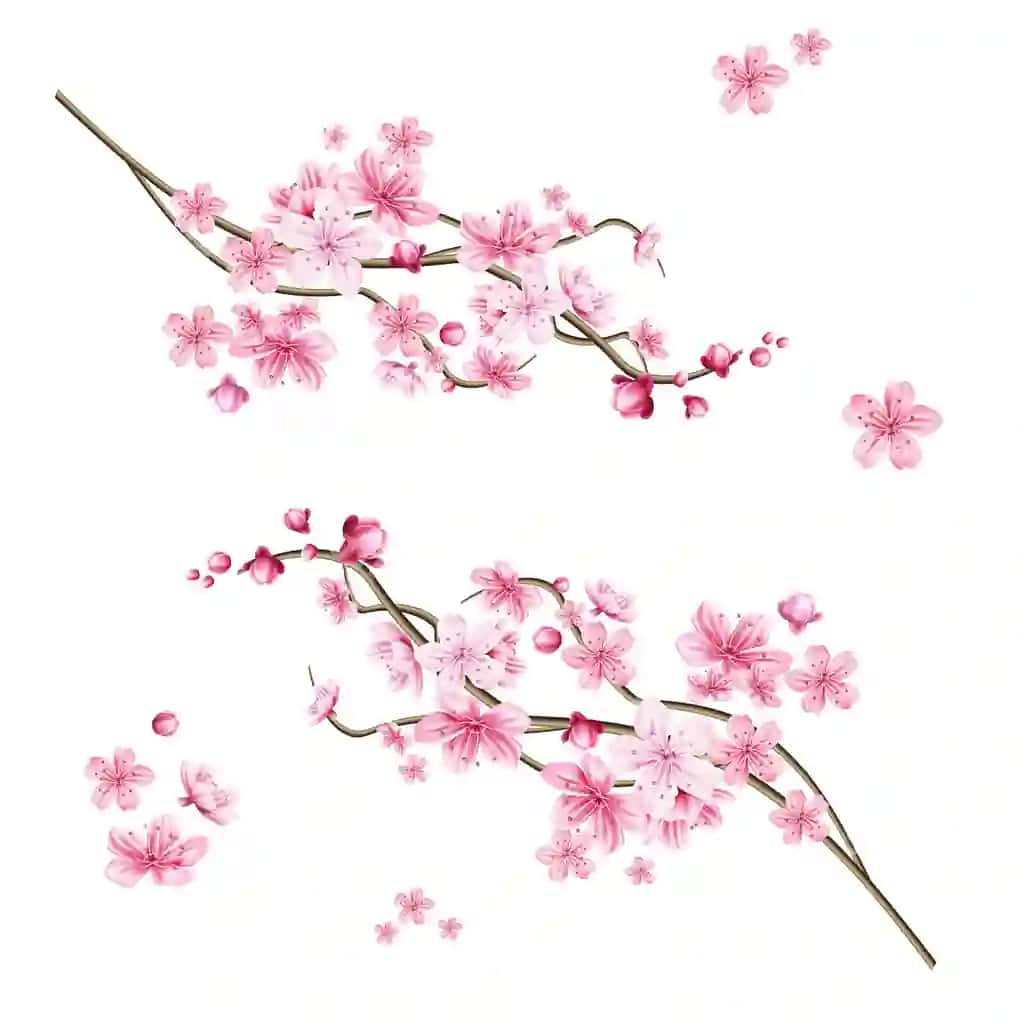 Haqiqiy sakura daraxti, elegent yaponcha ramz, gullayan o'simlik. | Realistic sakura tree branch elegant japanese symbol blooming plant