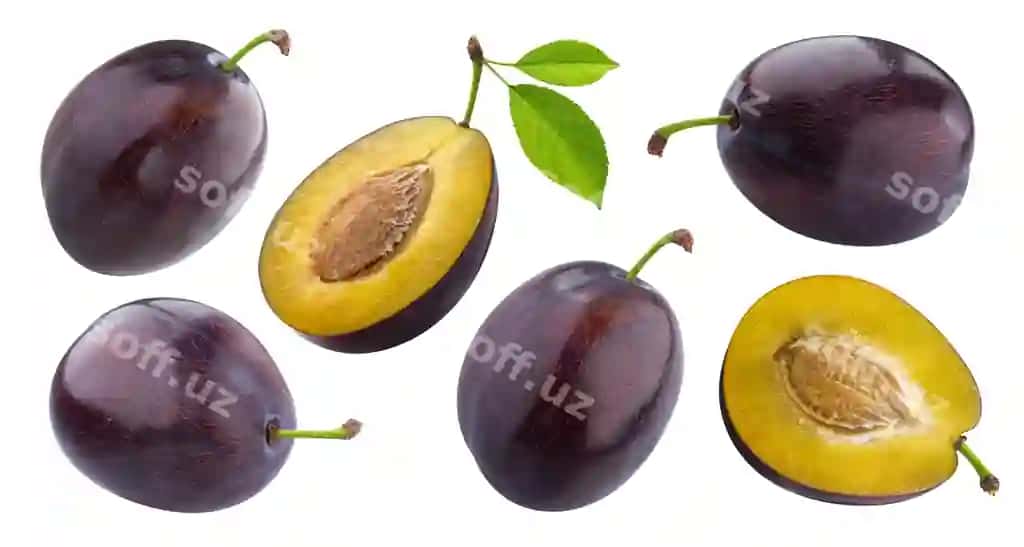 Olchalar ajraltirilgan oq fonda klippa yo'nalishi butun va yarımi meva barglar bilan to'plam | Plums isolated white background with clipping path whole half fruit with leaves collection