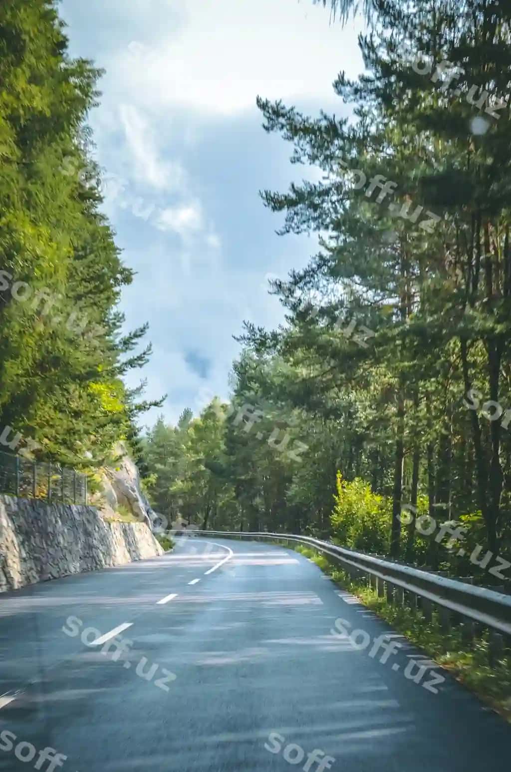 Yo'lni o'rmon ichidagi daraxtlar o'rtasida osmon qarshisida | Road amidst trees forest against sky