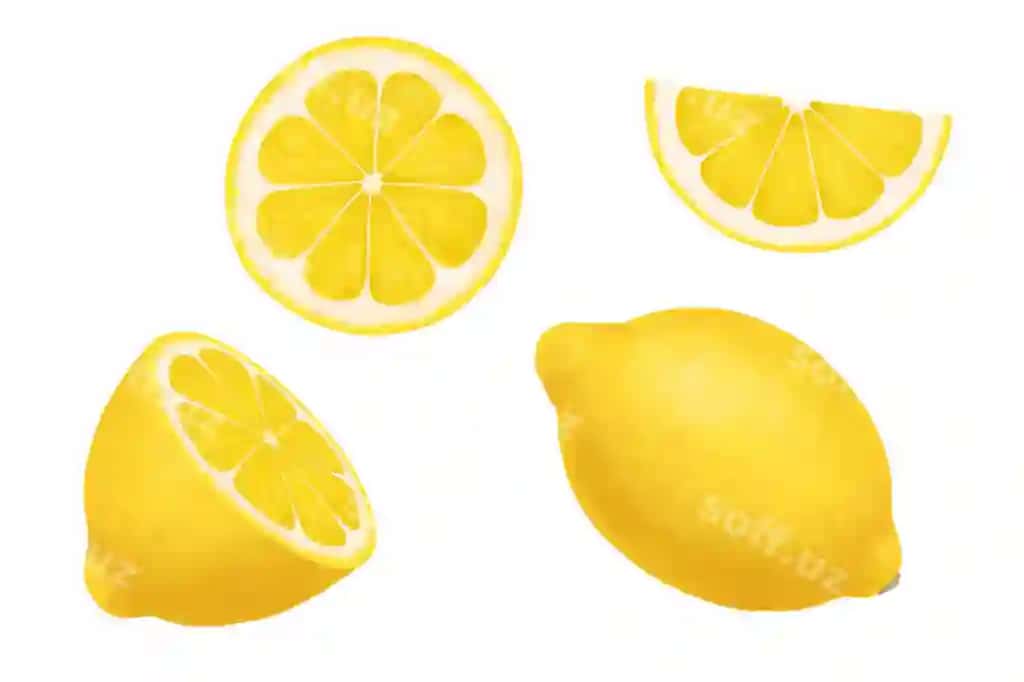 Limonlar vektor haqiqiy illustratsiyasi yetkilmagan oq qismi yarmi dogʻchilari | Lemons vector realistic illustration isolated white whole half slices