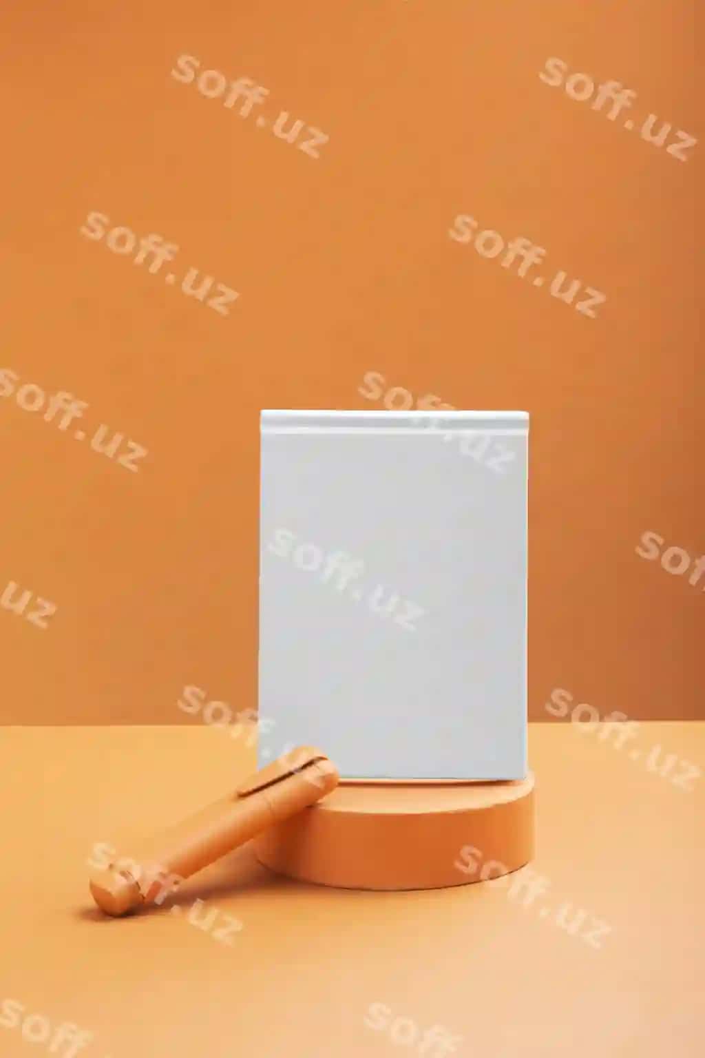 Qovoq rangli qozg'alovchi namuna | Apricot color stationery mockup