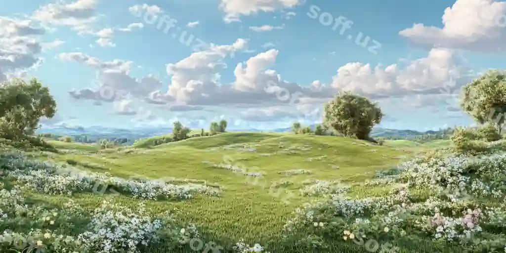 Go'zal tinch manzara yashil maydonlar va ko'k osmonlar bilan | Beautiful serene landscape with green fields blue skies