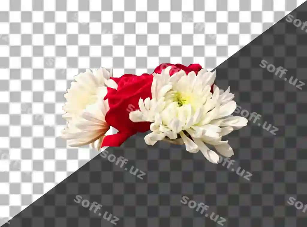 Gul qora oq fondaa | Flower black white background