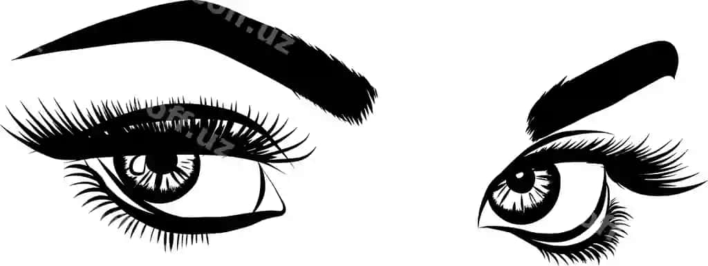 Bo'lib chizilgan ayol ko'zlari uzun qirqillar bilan illustratsiyasi oq fonda | Detailed woman eyes with long eyelashes illustration white background