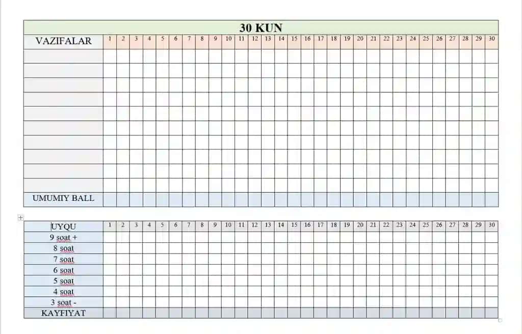 30 kun plan(Chellenj)