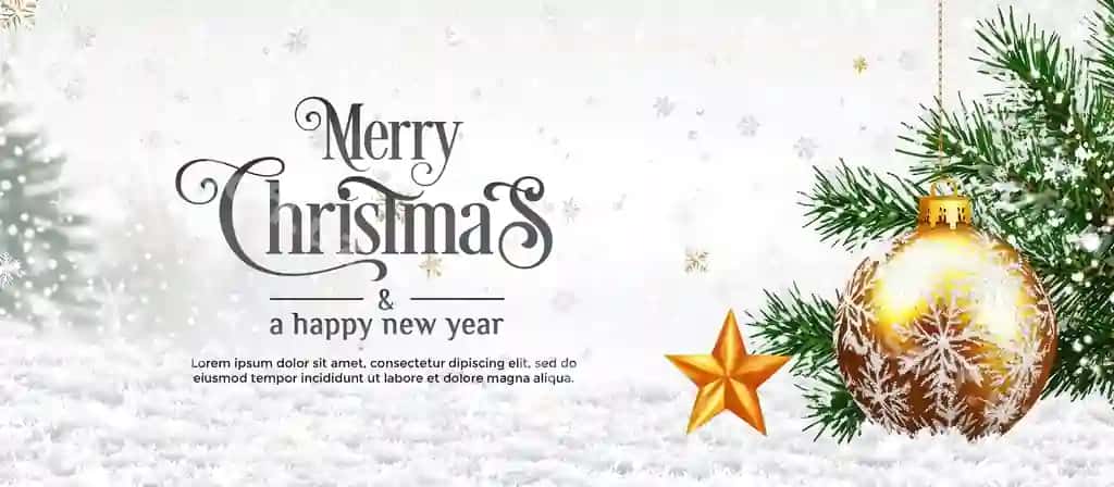 Rojdestvo banerlar dekorativ shar yulduz qor qoşishi orqa fonda | Christmas banners with decorative ball star snow falling background