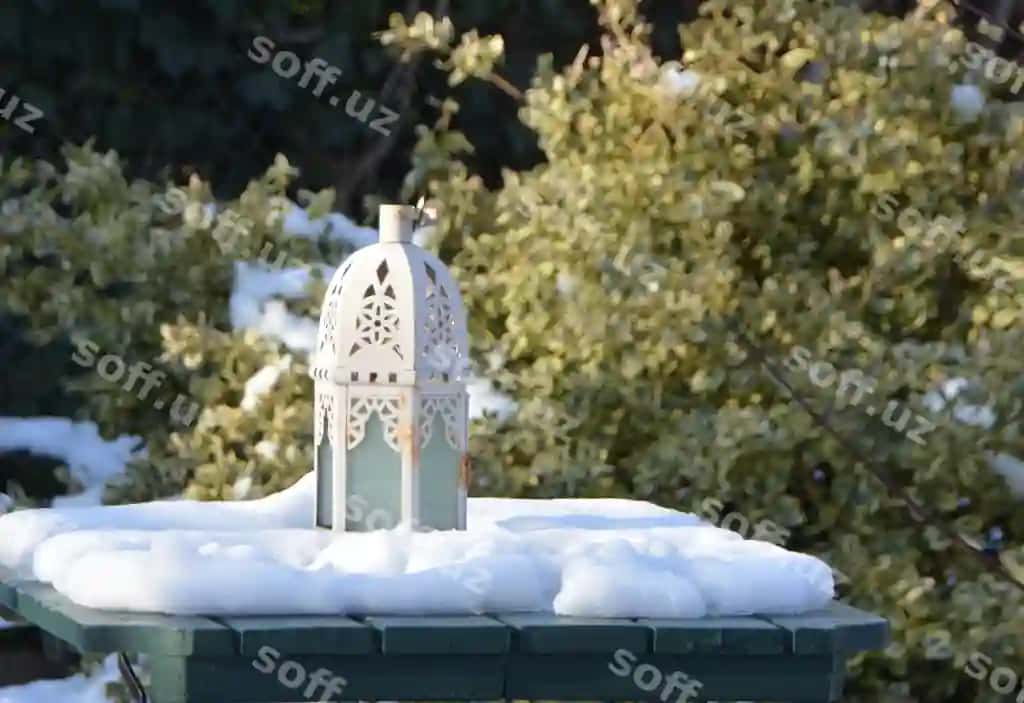 Yaqin rasm sok chiroyi daraxtlarning oldida | Close up ice cream cone against trees