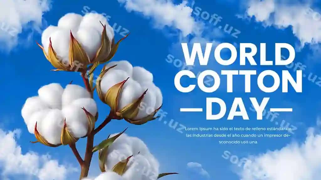 Dunyo paxta kuni baner-poster dizayni | World cotton day banner poster design