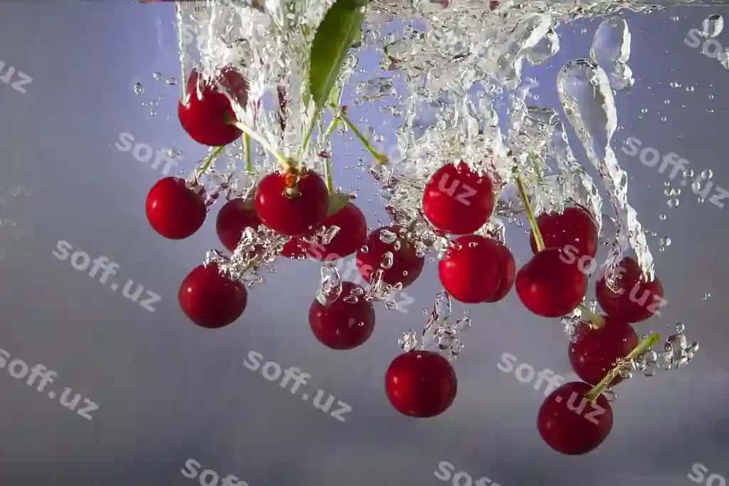 Chiroyli o'rga boringlar suwdagi havo qabiqchalari | Beautiful ripe berries water air bubbles