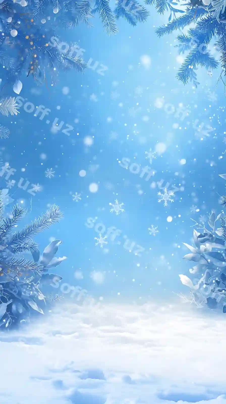 Qorqoq sahna, fir daraxtlari, qor shirinlari, oldingi fonda | Snowy scene with fir trees snow flakes foreground