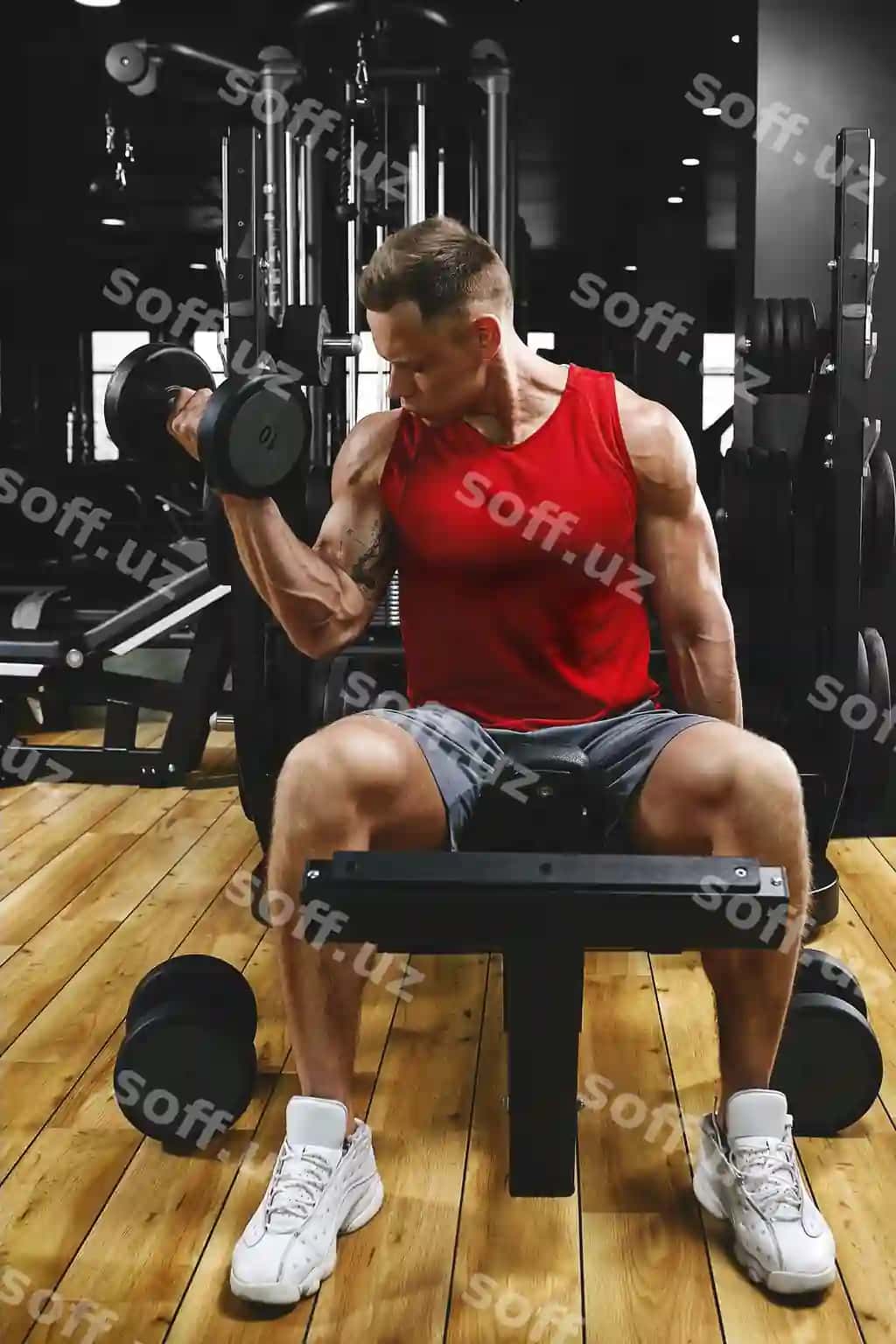 Ko'ylaksiz jismoniy kuchli erkak dumbbell bilan biceps mashqlari bajarayotgan, bu o'z bodybuilding treningining bir qismi. | Shirtless muscular man is doing biceps exercises with dumbbell exercises as part his bodybuilding workout