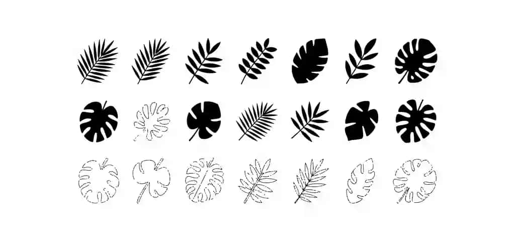 Tropik barglar to'plami | Tropical leaves collection