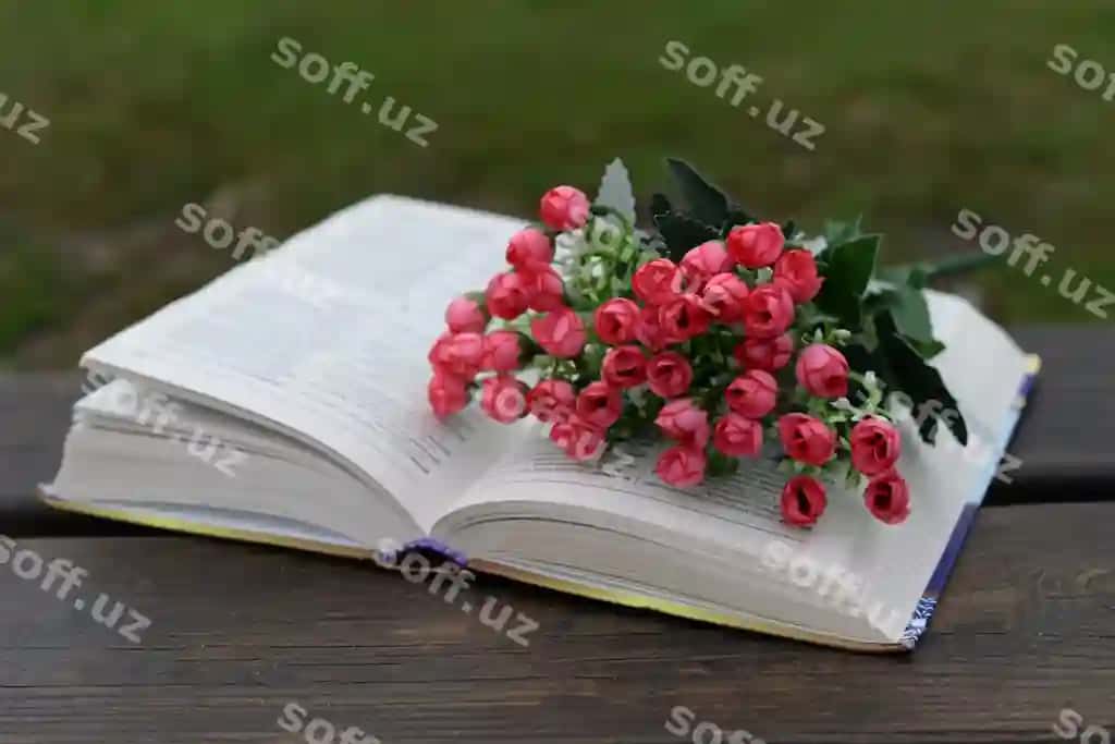 Buket gullari kitob darslik maktab o'rganish | Bouquet flowers book textbook school study