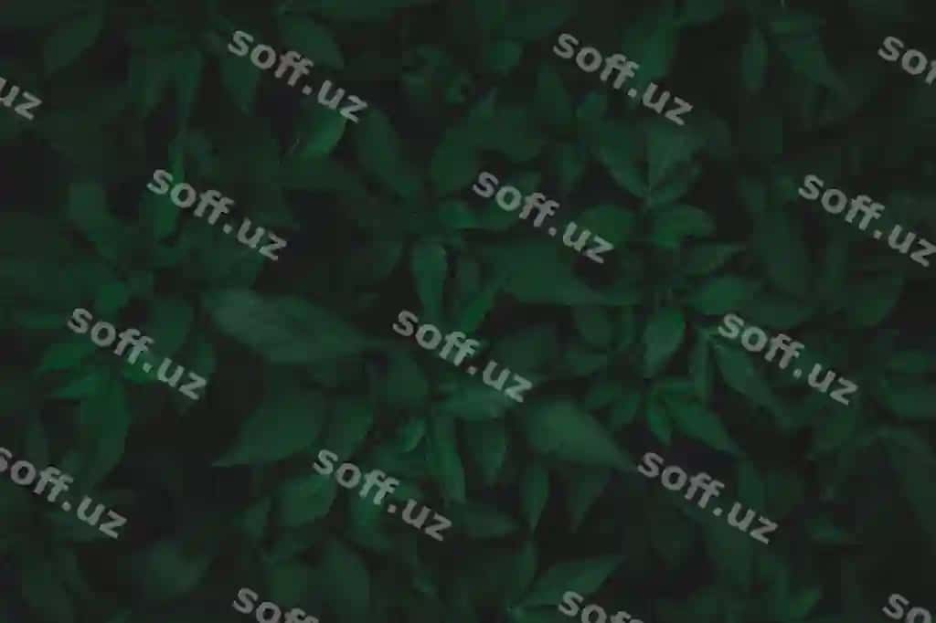 Yashil barglar naqshli orqa fonda, shirin kartoshka barglari, tabiat qora yashil tonli orqa fonda | Green leaves pattern background sweet potato leaves nature dark green tone background