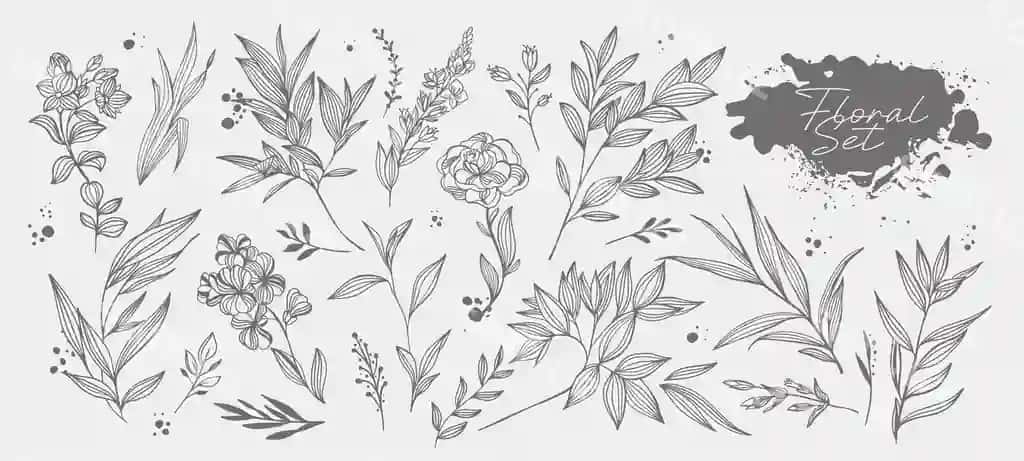 Katta to'plam qo'l yozma vektor gulli elementlar taklifnoma kataloglar | Big set hand drawing vector floral elements invitations catalogs