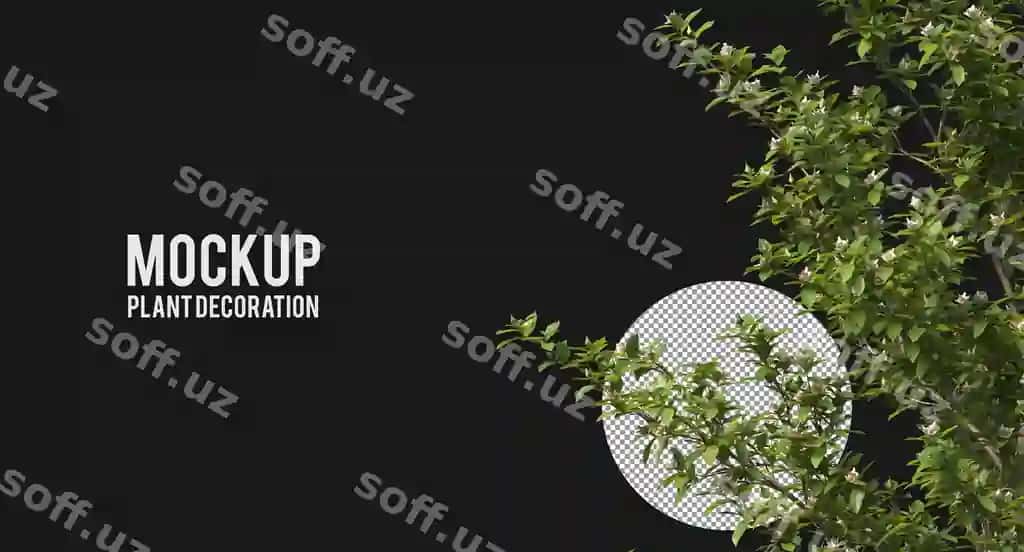 Turli xil turlar daraxt oka o'simliklar kichik daraxtlar ajraltirilgan apelsin va yashil | Various types tree branch plants small trees isolated orange green