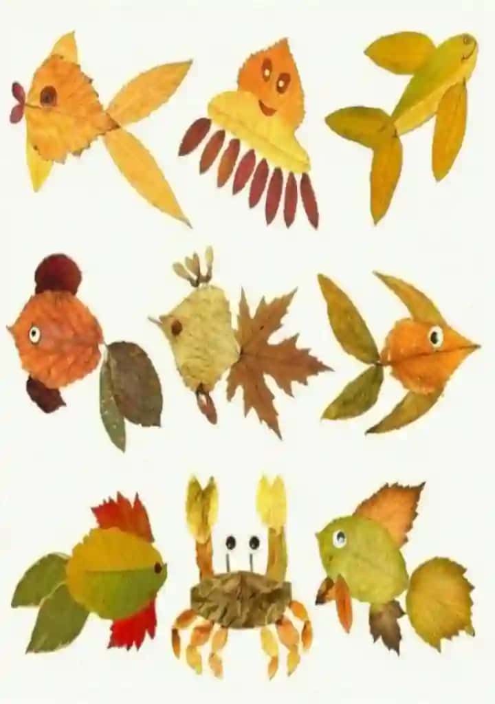 1 - 4 sinflarga kuzgi barklardan shakillar yasash