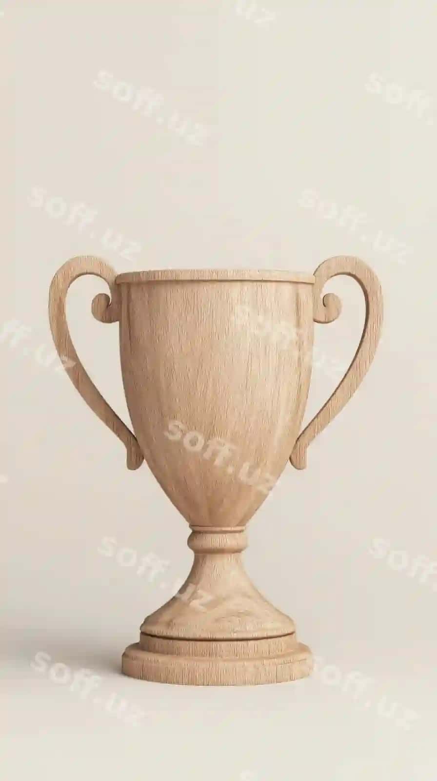 Chiroyli yogʻoch sohibi oʻrtacha fonda | Elegant wooden trophy neutral background