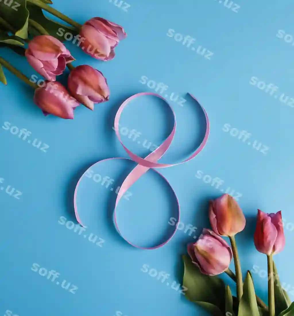 Buket lolalar pinkiy lenta forma raqami 8 ko'k orqa fonda | Bouquet tulips pink ribbon form number 8 blue background