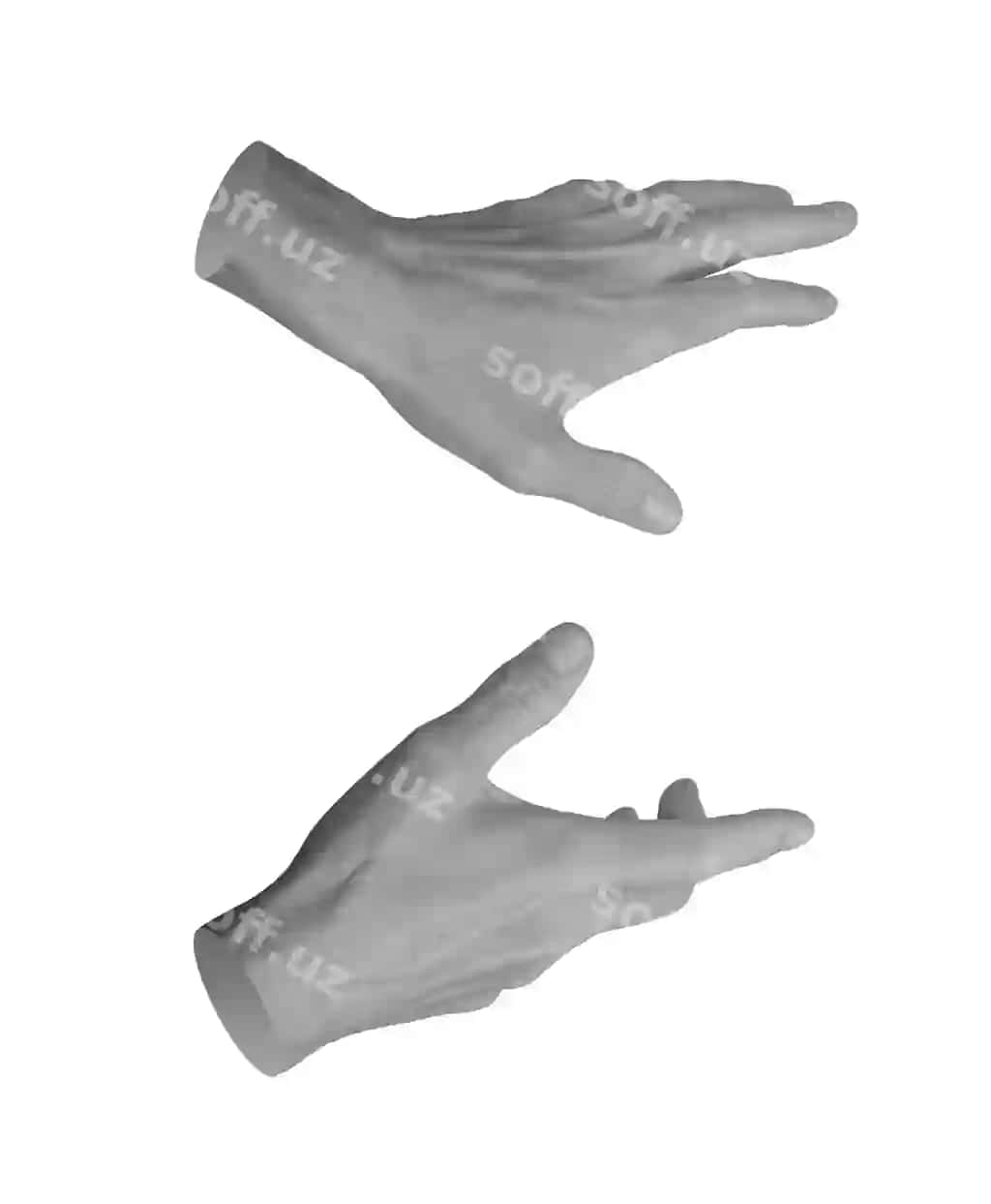 Ikki qo'l bilan tutish, saqlash, qo'llab chuqquvchi, tegish - qo'l belgisi, isolatsiya qilingan oq fonda | Holding keeping caring touching with both two palms hand sign isolated white background