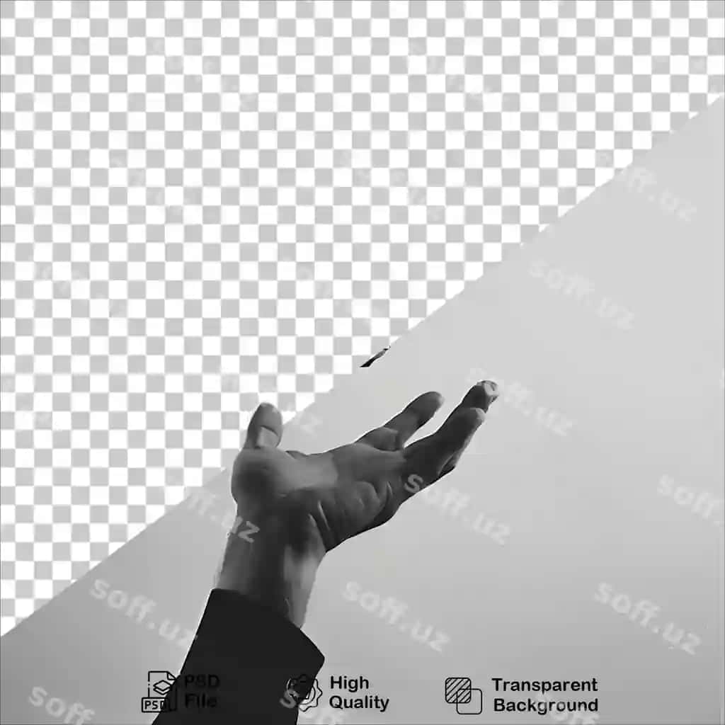 Qo'l yonib turgan lampochkaning shaffof fonini ushlab turibdi | Hand holding glowing light bulb transparent background
