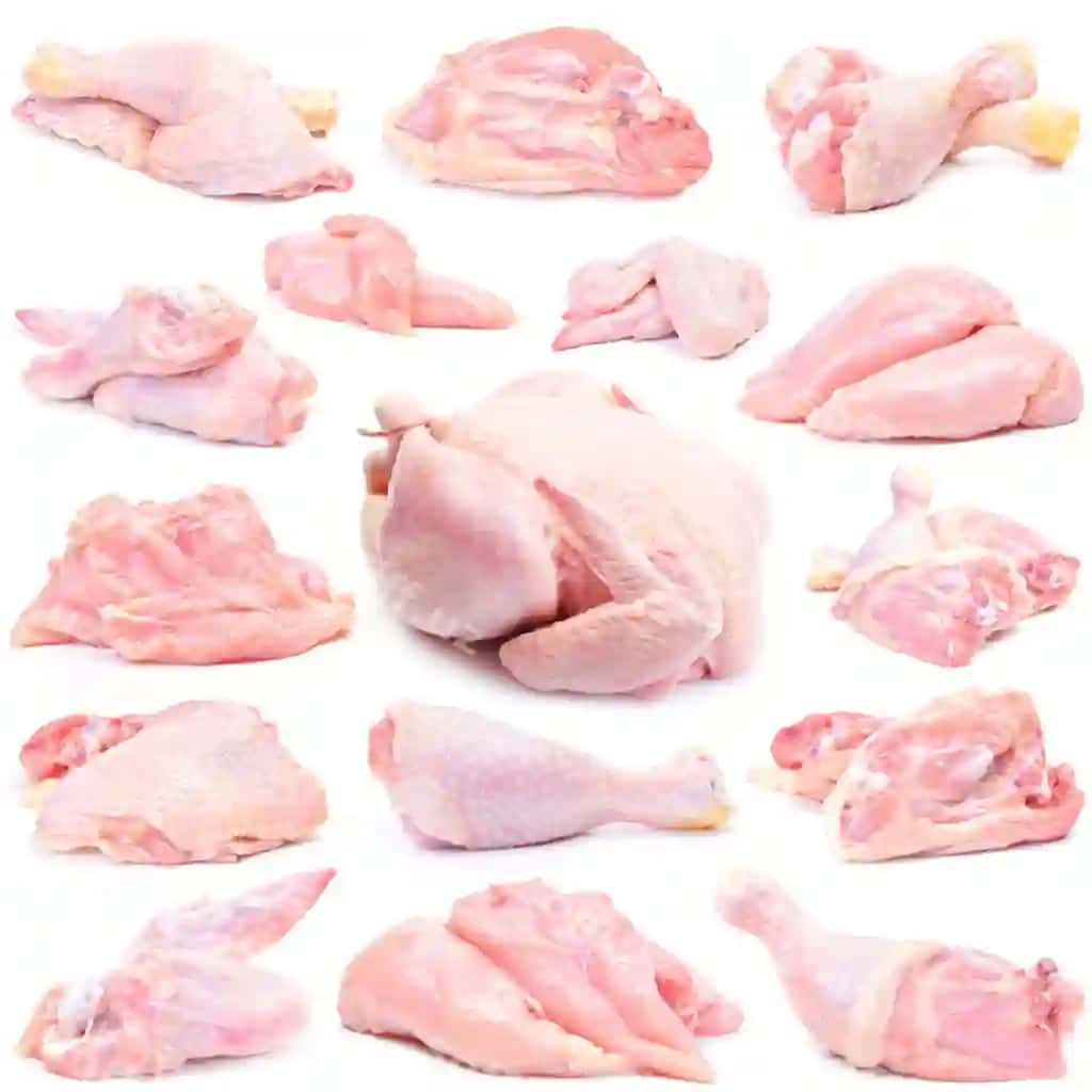 Tovuq go'shti oq fonda | Meat chicken white background