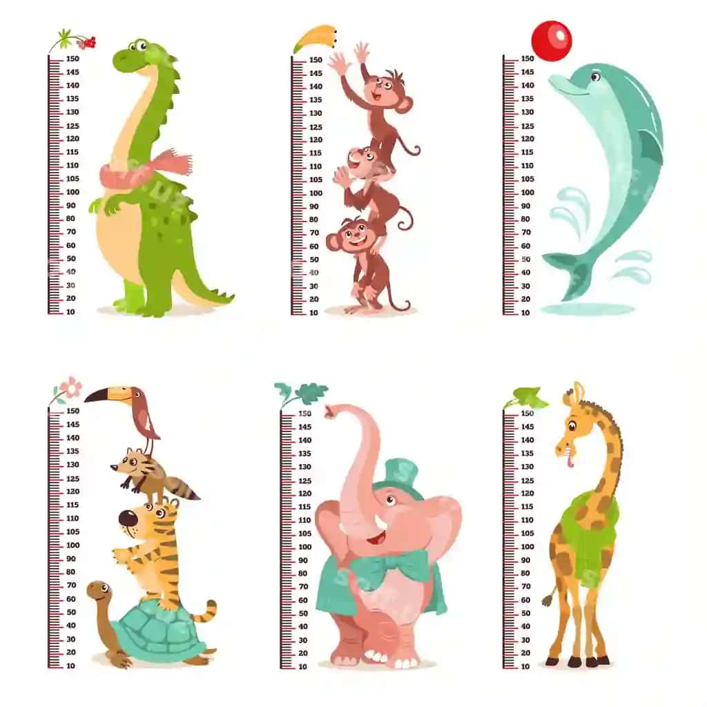 Multfilmy bolalarning o'stish rejellari devor o'lchagichlari gulbish tropik hayvonlari bilan | Cartoon kids growth rulers wall meters with funny tropical animals
