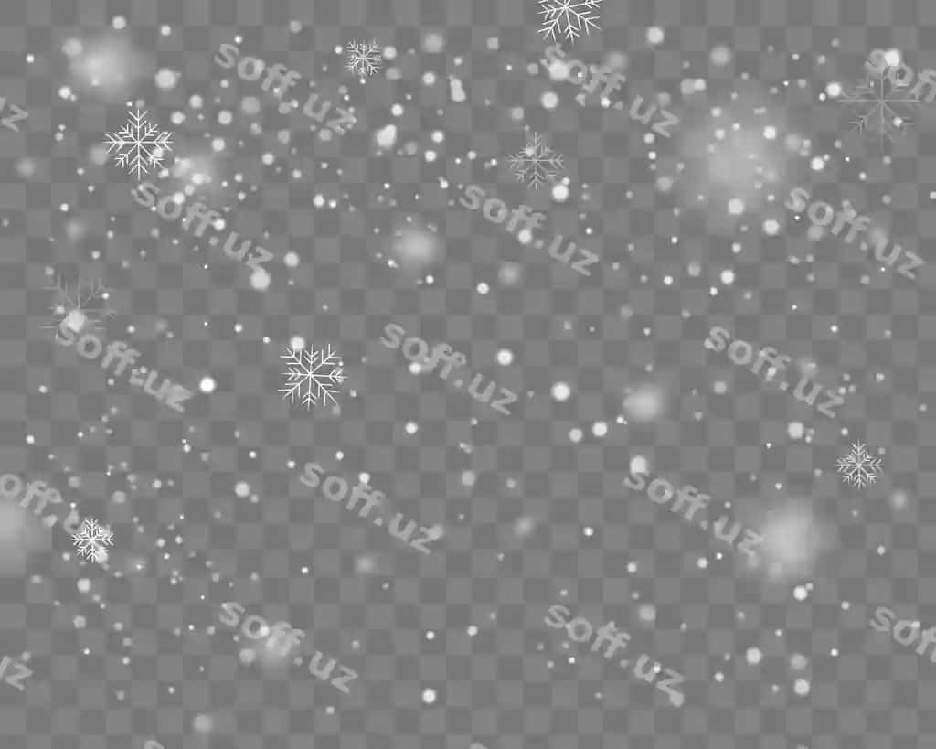 Ko'p qor yog'adi, har xil shakl va formaga ega qor o'tilari. | Heavy snowfall snowflakes different shapes forms snow flakes snow