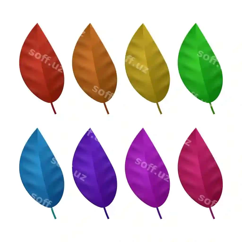 Vektor plat kuz me'morchilik varaqlar to'plami | Vector flat autumn forest leaves collection