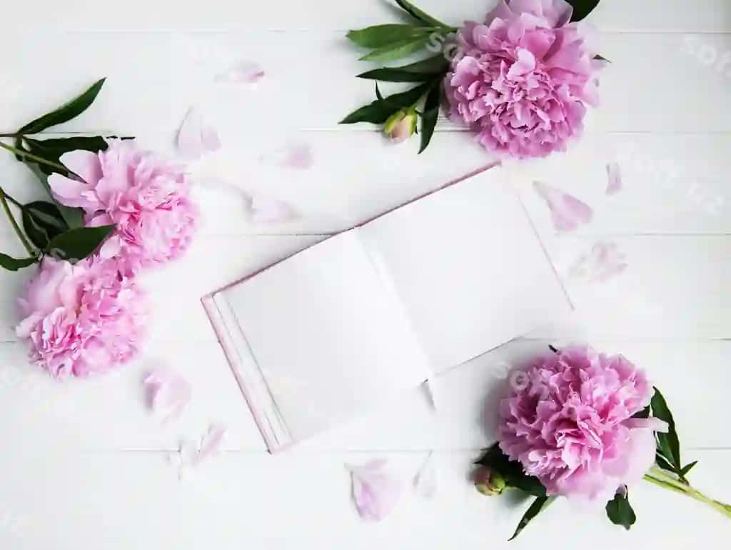 Daftar pionlar bilan | Note book with peonies
