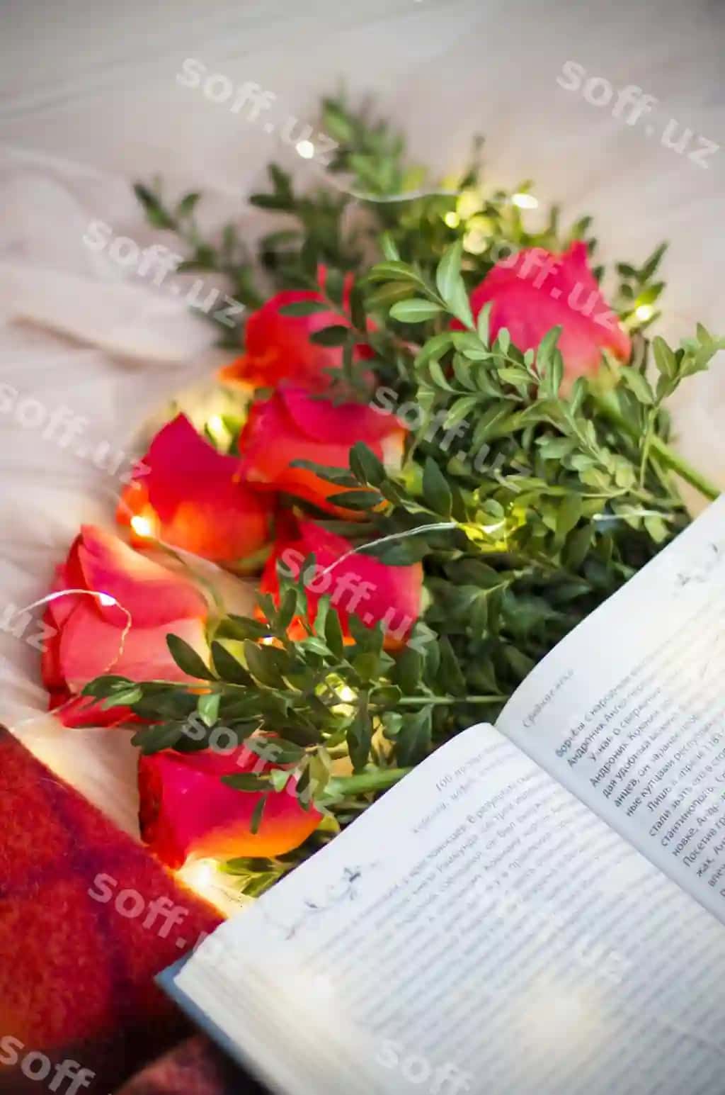 Kompositsiya qizil gulari, boksvud va kitoblar guramalari, qizil peshon. | Composition red roses with boxwood book garlands red blanket