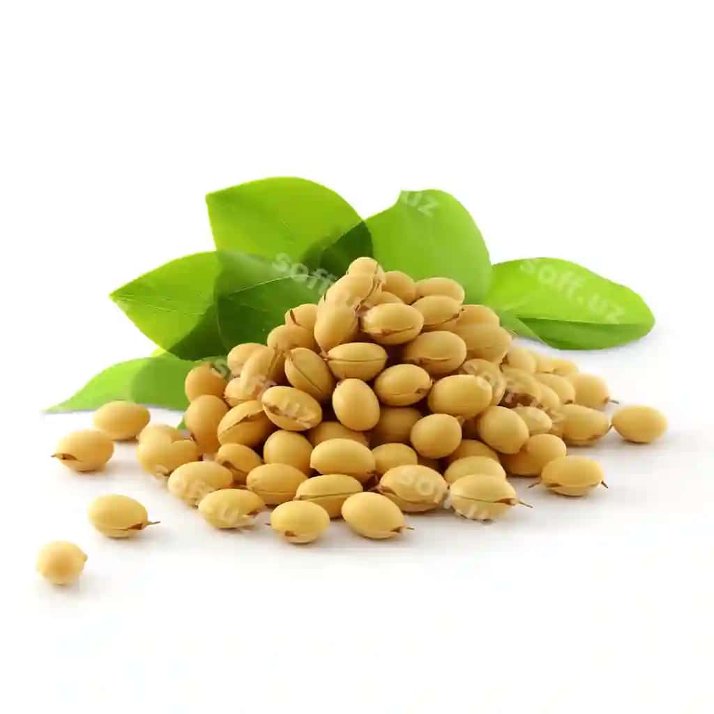 Tabiiy yangi soya tuxum ajraltirilgan oq fonda | Natural fresh soybeans isolated white background