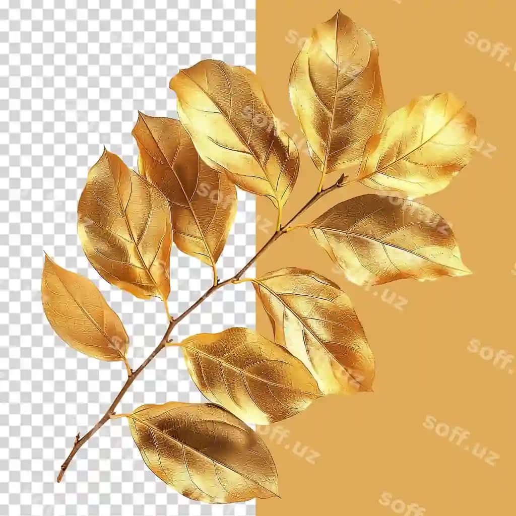 Oltin yaproqlar png ajraltirilgan shaffof orqa fonda | Gold leaves png isolated transparent background