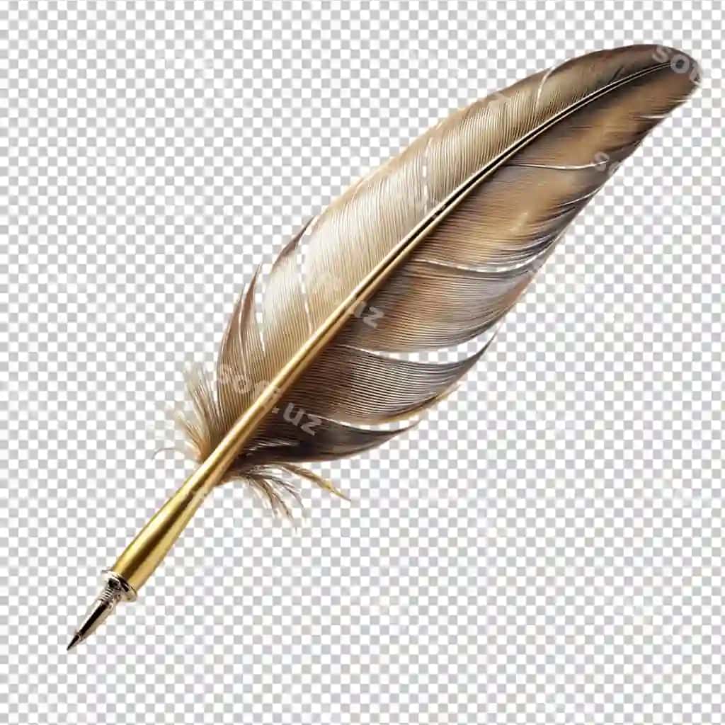 Shaffof orqa fondagi suzilgan tirjaxon qalam | Floated quill pen transparent background