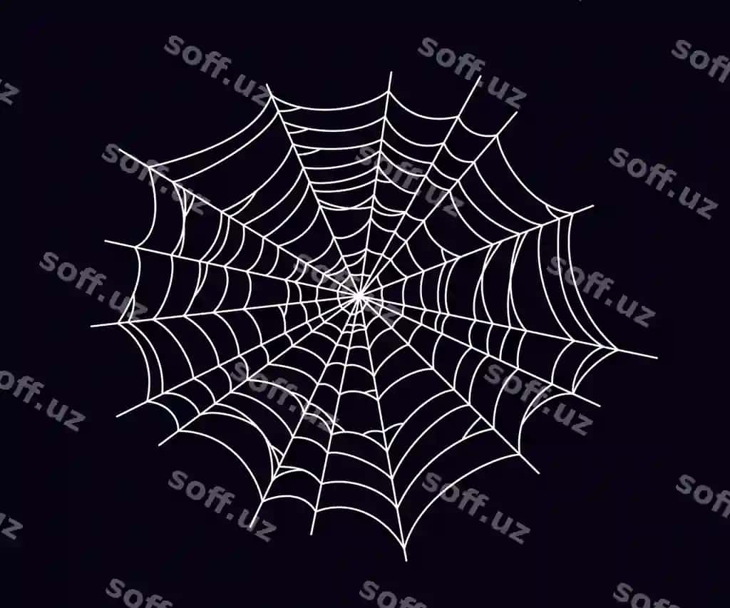 Aylanma qoqrqinchli urugʻ tarmogi oq siluet ajraltirilgan qora fons | Round scary spider web white cobweb silhouette isolated black background