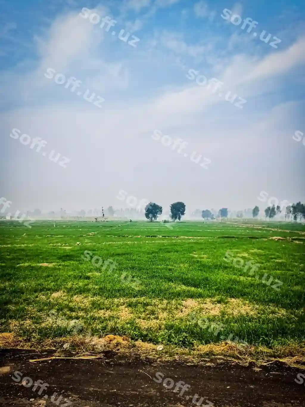 Manzarali maydon osoyonga qarshi | Scenic view field against sky