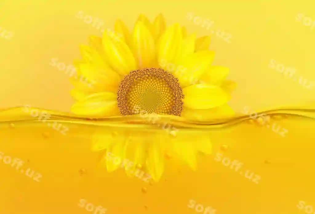 3d qizil mavzo yog'i tabiiy gul sivo haqiqiy qishloq xo'jaligi o'simlik | 3d sunflower oil natural flower liquid realistic agriculture plant