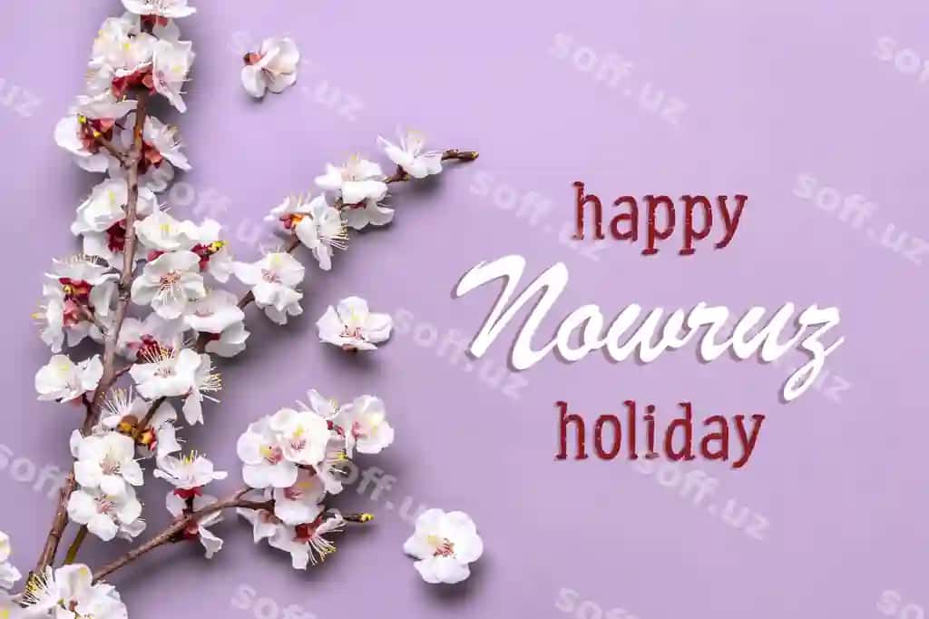 Oʻrik daraxti gullari binafsha fon Baxshi Nowruz bayrami matni | Sprigs apricot tree with flowers pink background text happy nowruz holiday