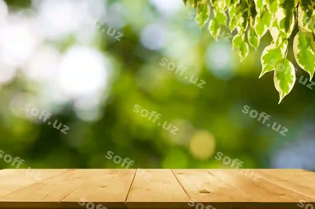 Yog'ochli stol varaqli tabiat orqa fonda matn joylashadigan joy | Wooden table with leaves nature background copy space insert text