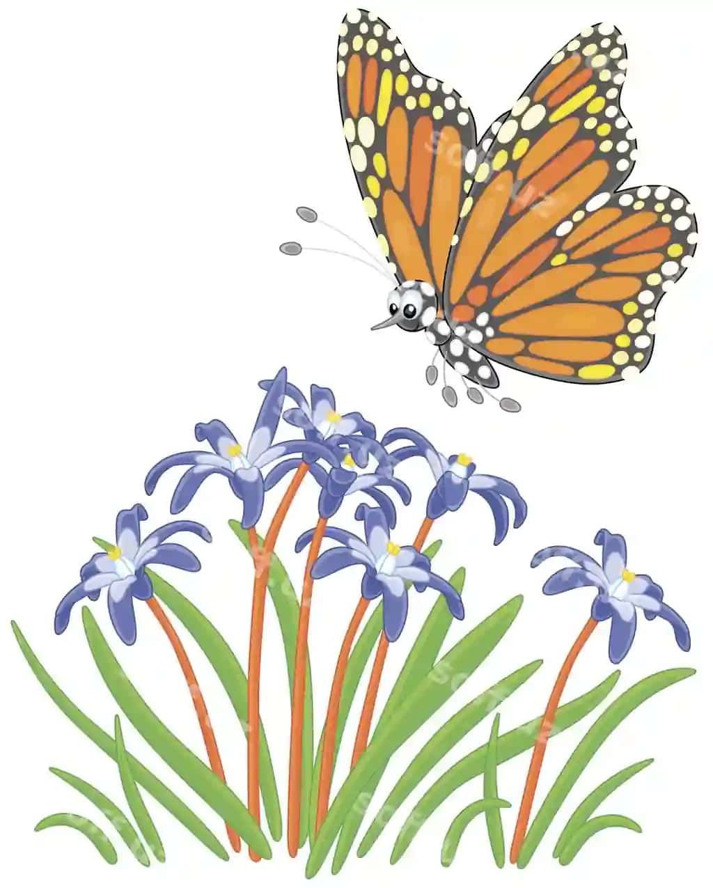 Rang-barvonaqa bezatilgan monarx buterfly parvoz qiladigan go'zal tog'ilon gullari | Colorfully decorated butterfly danaid monarch flying beautiful wildflowers