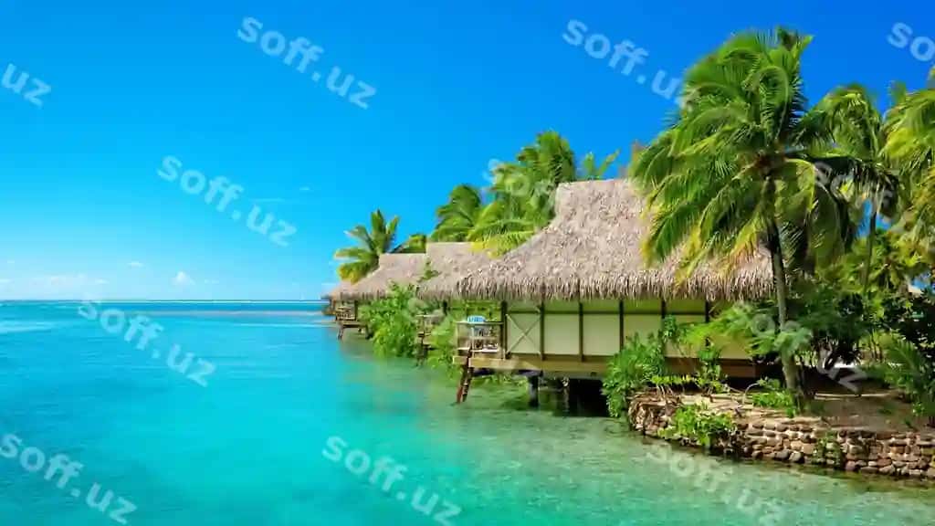 Tropik orol soya bilan qurilgan palm chinarlar bilan | Tropical island with thatched roof palm trees