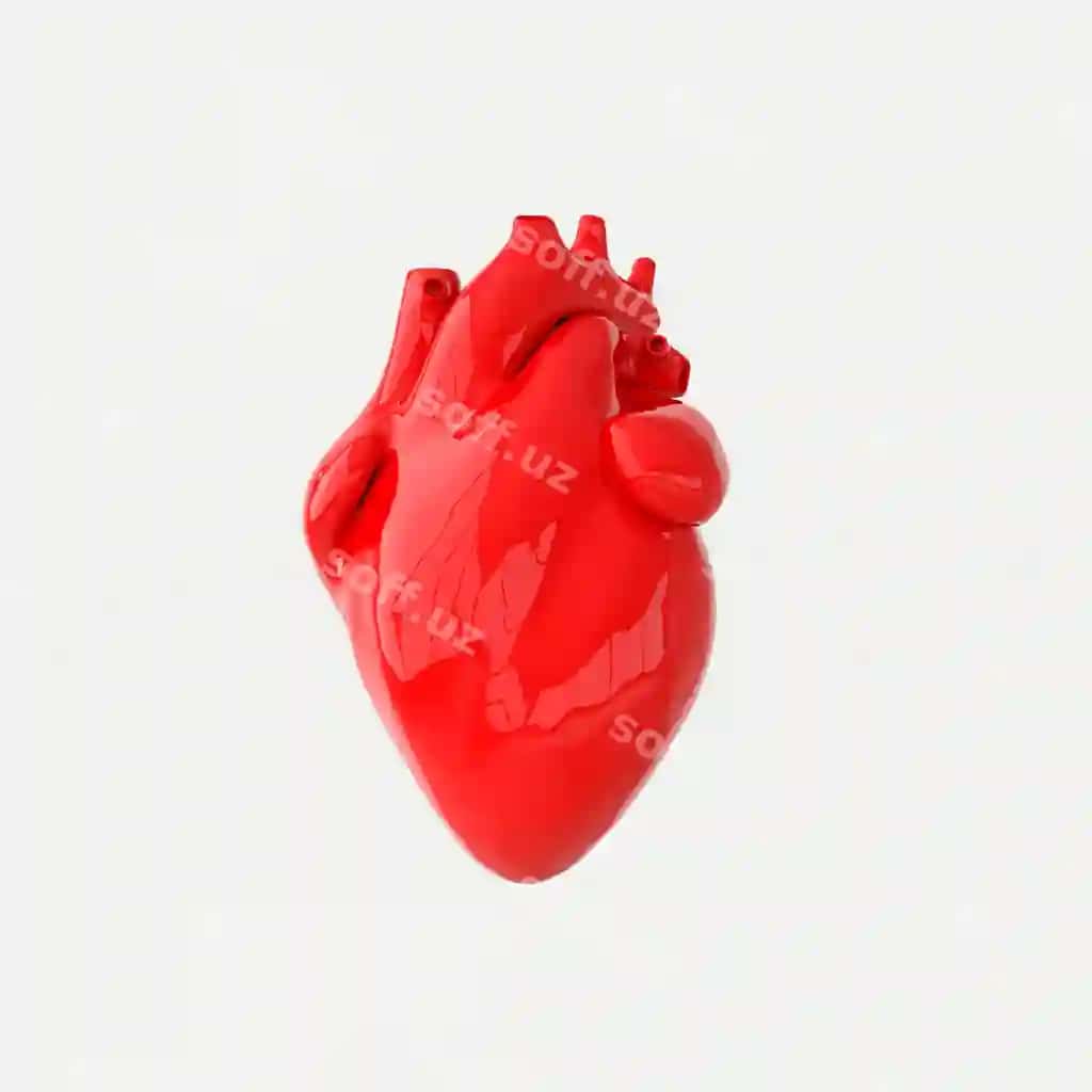 Realistik inson yuragi aorta arteriyasi bilan 3D render | Realistic human heart organ with arteries aorta 3d rendering