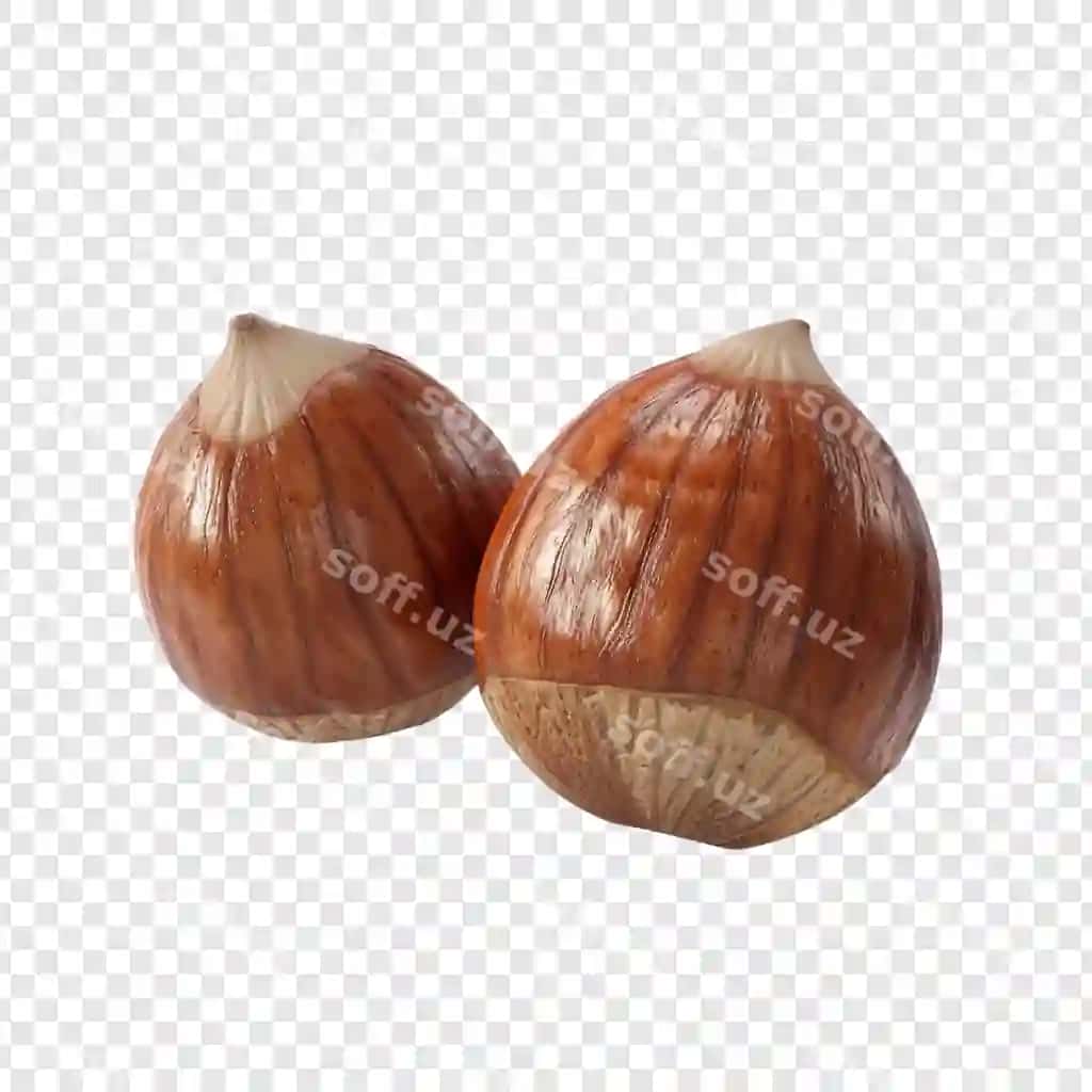 Ikki jigarrang qabiqli fistiklar | Two hazelnut with brown shell