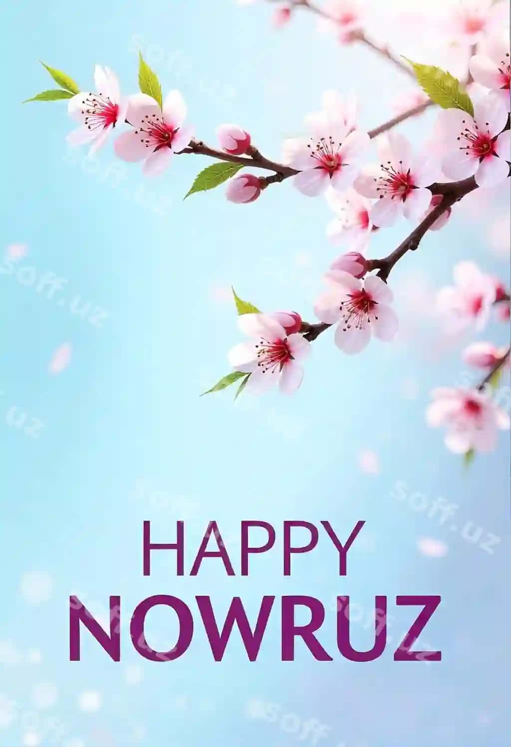 Xalqaro Navro'z kuni | International day nowruz