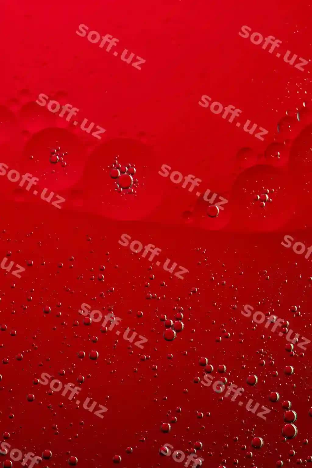 Makro fotosur'at yog' kabarmalari qizil fon tekstura yog' abstraktsiya fon qizil kabarmalari | Macro photo oil bubbles red background texture oil abstract background red bubbles