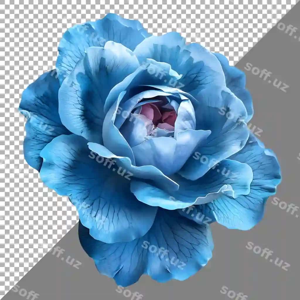 Ko'k gul shaffof orqa fonda AI generatsiyasi | Blue rose flower transparent background ai generated