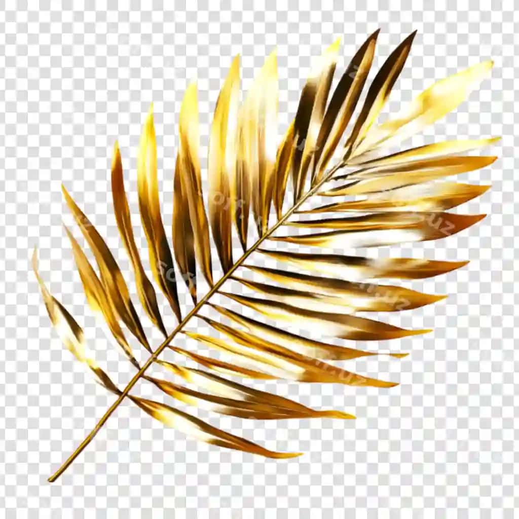 Oltin palm varaq parlashlar bilan shaffof orqa fonda | Golden palm leaf with sparkles transparent background