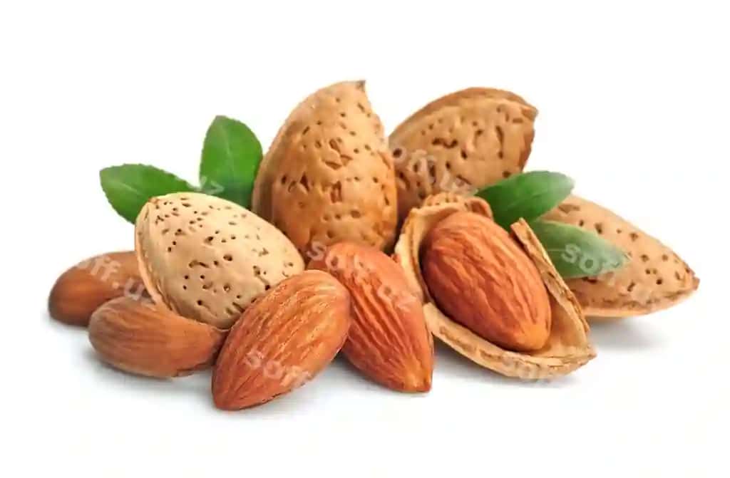 Badem bilan yaproqlar yaxlitlangan | Almonds with leaves closeups