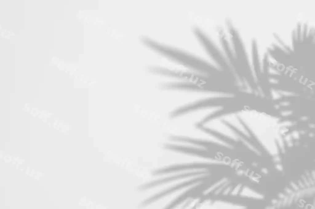 Yoz soyalari hindistaar yaproqlari oq devor | Summer shadows palm leaves white wall